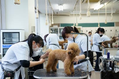 仙台総合ペット&フラワー専門学校