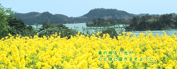 春明はり灸院