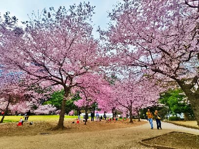 錦町公園