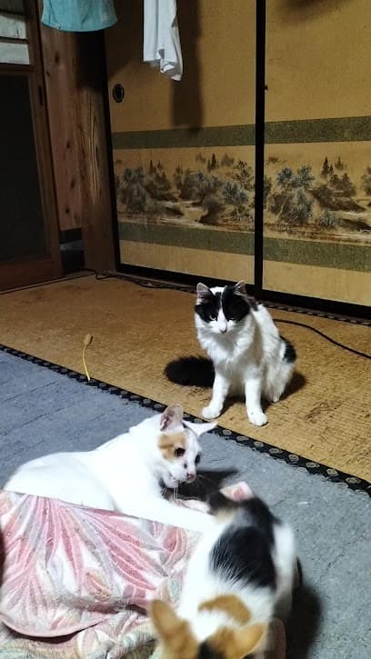 じたくの相談窓口